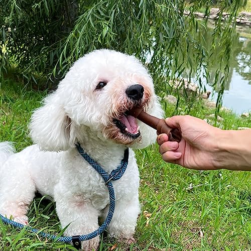 Image of MON2SUN Dog Treats, 5 Inch Rawhide-Free Peanut Butter Bones, 12.7 oz | 6 Count Pack, Balanced Snack Choice, Chewing Enjoyment, Teeth Cleaning, Suitable for Small and Medium Dogs