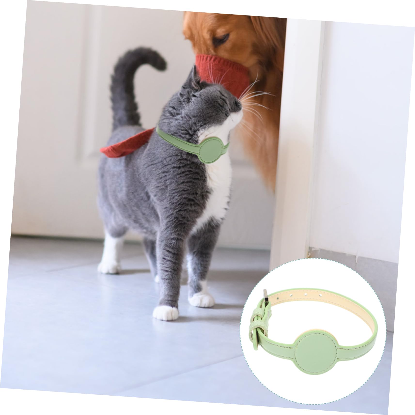 ABOOFAN 5st Pet-pu-Kragen Welpenhalsband Welpenhalsbänder Für Kleine Welpen Zubehör Für Katzenhalsbänder Für Neugeborene Welpen Sicherheitshalsband Für Katzen Haustier Tracker