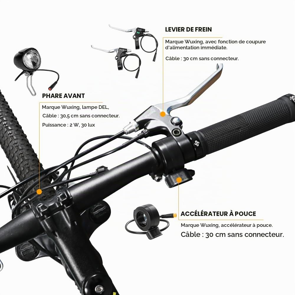 SEASON Ebike Kit de Conversion pour Vélo Électrique 20''/24''/26''/28''/700C Moteur 36V 250W Roue Électrique Avant pour Vélos