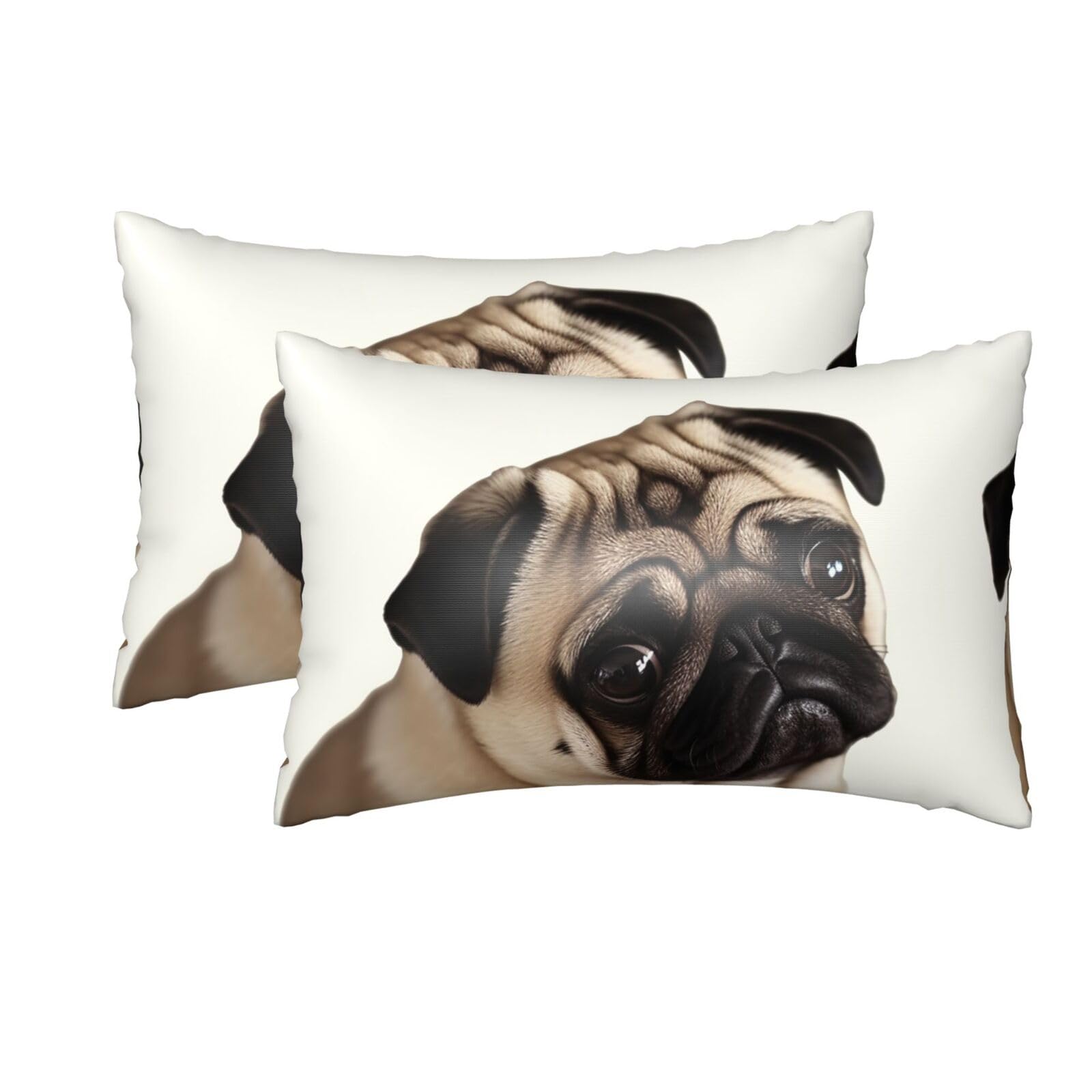 2 Pack Queen Silk Pillow Cases with Hidden Zipper, Luxury Soft Satin Pillow Covers for Hair and Skin, Pug Dog Pillowcases 20"x30" Bed Pillow Protectors Cover for Sleeping Gifts
