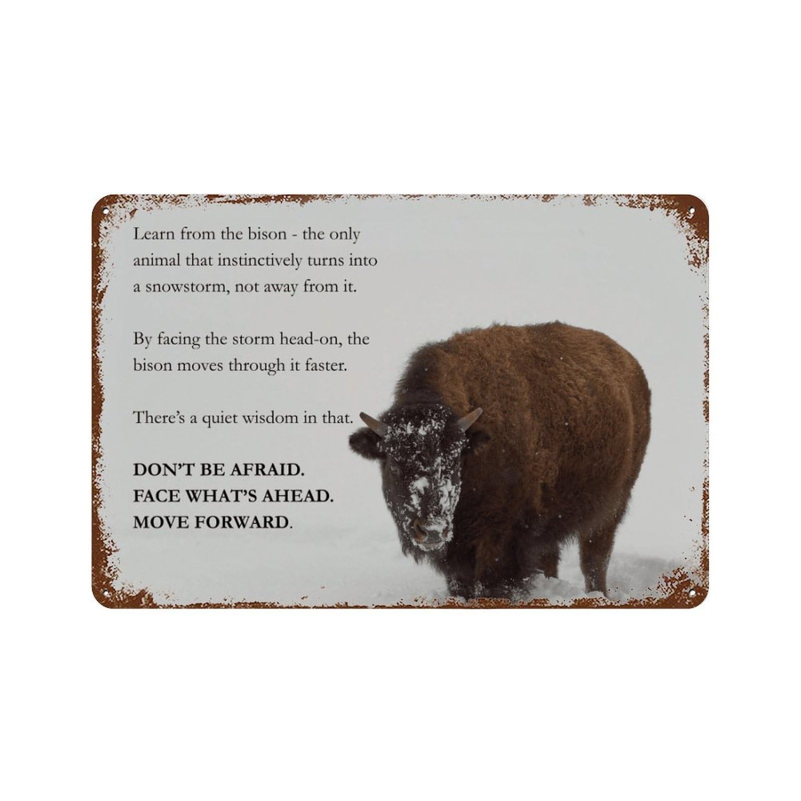 xiaoxiaoshen Facing The Storm Poster, Wild Boar Motivational Quotes, Courage And Resilience (3) Wall Decor Art Metal Tin Poster Modern Home Decor Art Home Bar Shop Decorations Vintage Sign 20x30cm