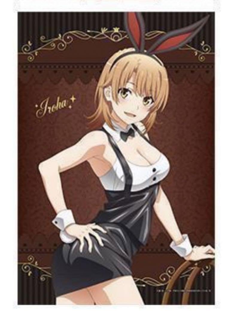 Amazon.co.jp: やはり俺の青春ラブコメはまちがっている。 ドンキ B2