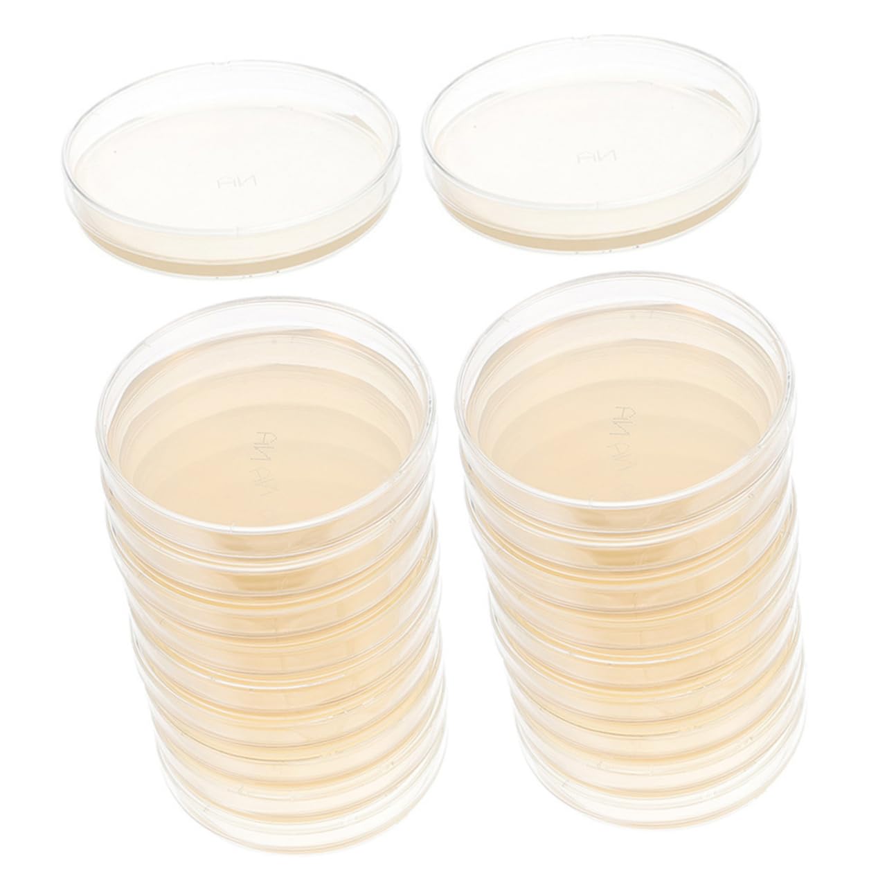 VILLFUL 20 Pcs Nutrient Agar Plate Lab Petri Dishes Agar Dishes for Mushrooms Prepoured Petri Plates Laboratory Supplies Petri Dish Pre- Poured Dishes Petri Dish with Lid
