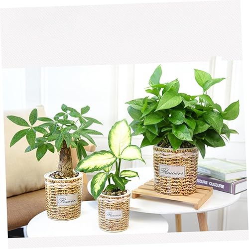 Miniatura 9 de MERRYHAPY 2 latas de riego para plantas de interior, contenedor transparente, violetas africanas, maceta tejida, maceta de riego automático, macetas