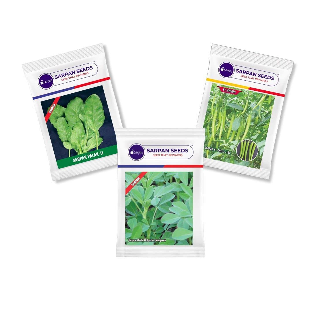Sarpan Seeds Vegetable Seeds Grow Fresh and Flavorful Delights with combo of Methi, Green Chilly & Palak kitchen garden seeds (B0C72FWDST) Amazon Price History, Amazon Price Tracker