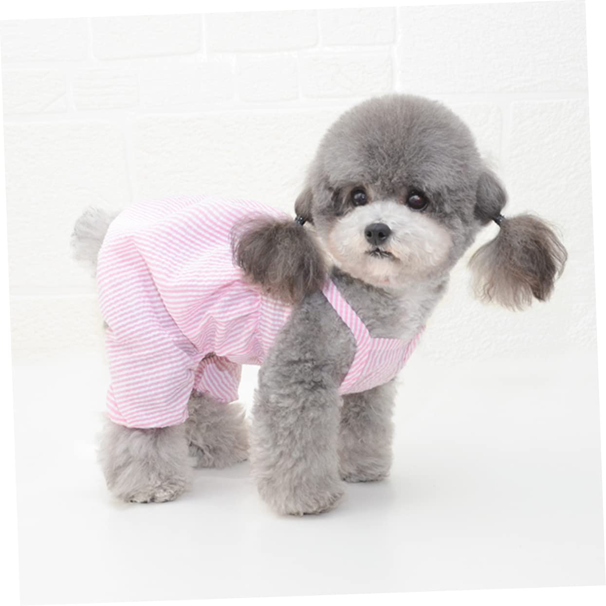 Angoily Lot De 3 Vêtements pour Animaux De Compagnie Motif Pastèque Pantalon À Bretelles pour Fêtes Mariages Et Photos