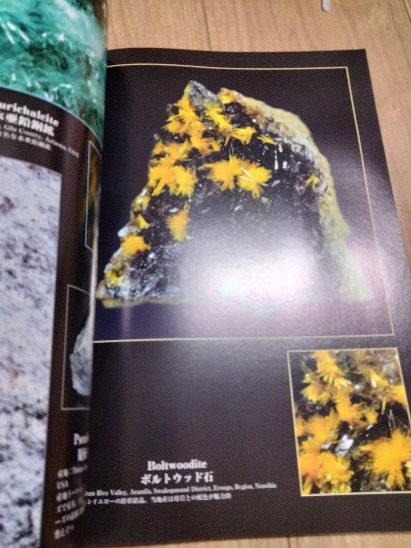 ミネラ (MINERA)  地球の不思議発見!ジェムストーン・鉱物・化石の誌 Amazon.co.jp: ミネラ (MINERA) No.8地球の不思議発見