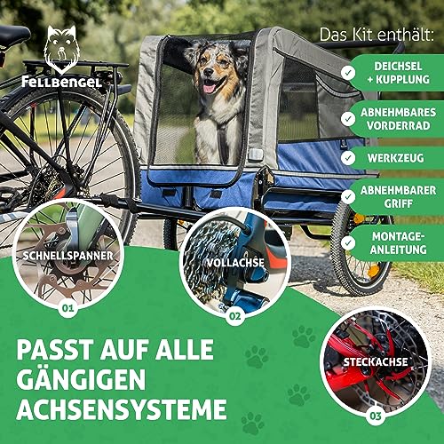Hundeanhnger fr E-Bikes bis 40 kg  Die 15 besten Produkte im Vergleich -  kita.de Ratgeber