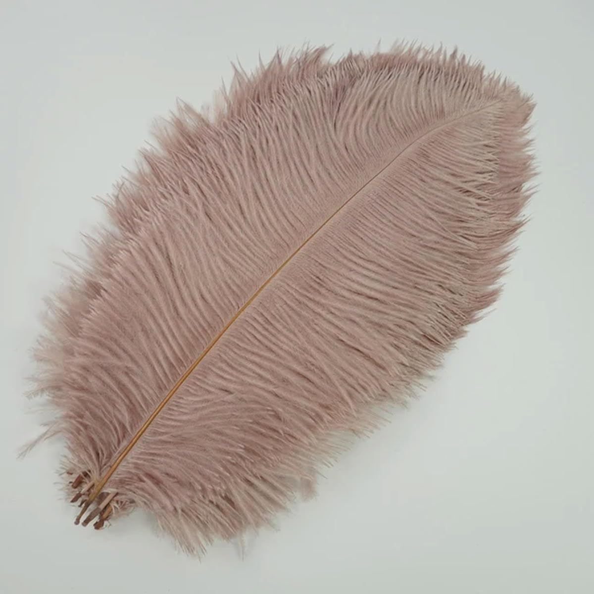 10 witte Struisvogelveren van 60 cm