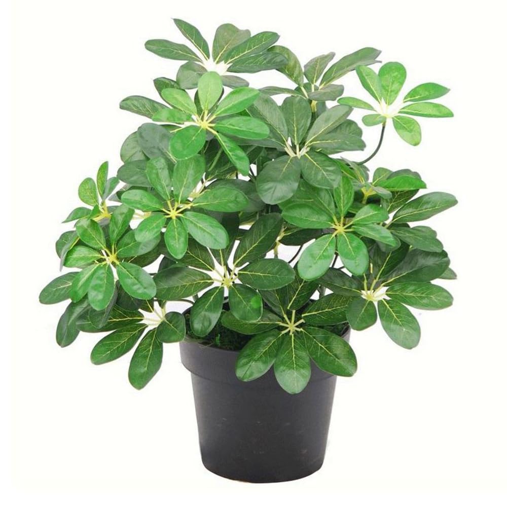 Leaf Dark/Green 55Cm Artificial Schefflera Arboricola Plant