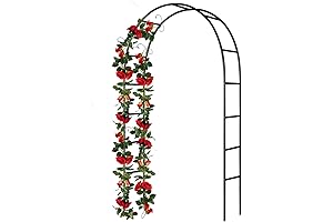 Artistic Abor: Iron Arbor for Plants and Parties