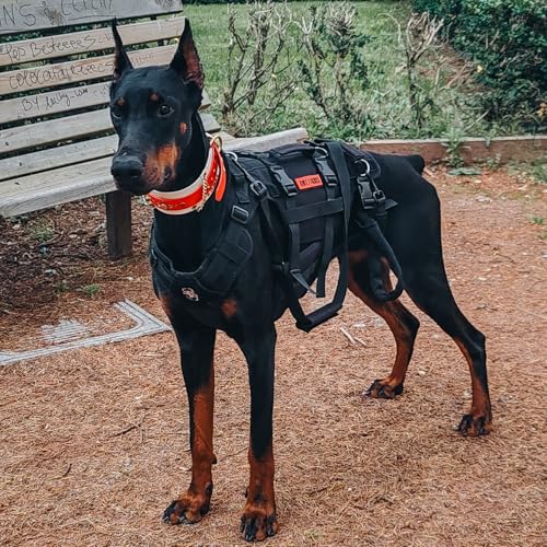 Image of OneTigris Dog Lift Harness for Large Dogs, Dog Hip Support Brace, Full Body Lifter with Handles Invictus Multifunctional Mobility Assistance Vest for Back Legs (Black, X-Large)