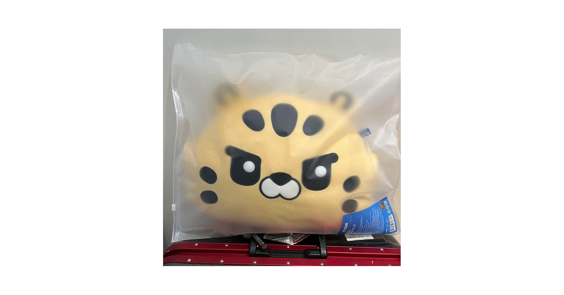 Amazon.co.jp: LE ERAFIM fim's club クッション チェウォン