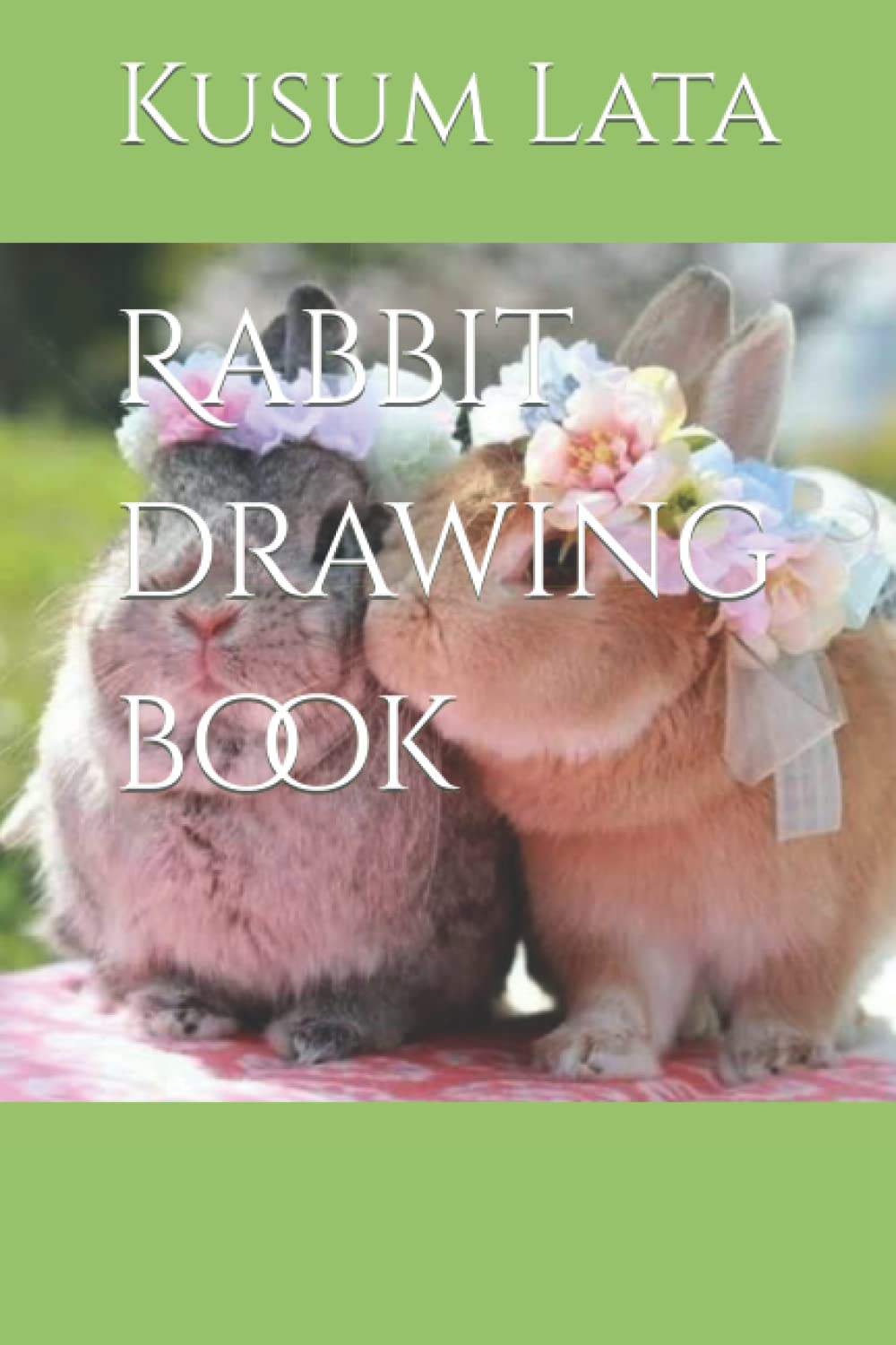 Rabbit drawing book