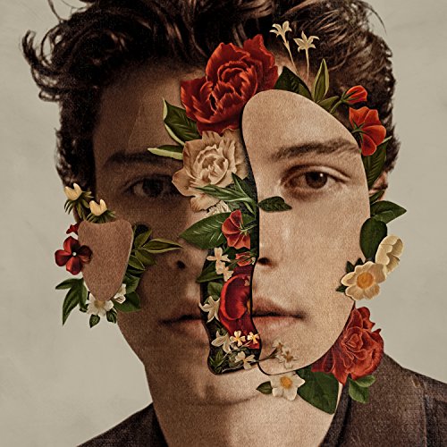 Mendes Shawn Mendes (14 Brani)