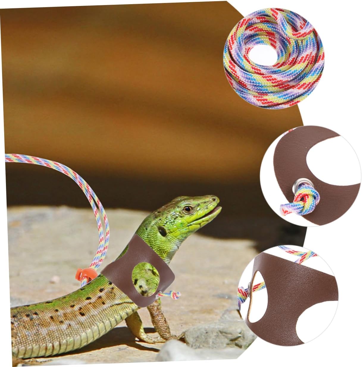 Toddmomy 2pcs Lizard Leash for Reptiles Lightweight Outdoor Traction Rope for Bearded Dragons and Lizards for Training and Walking