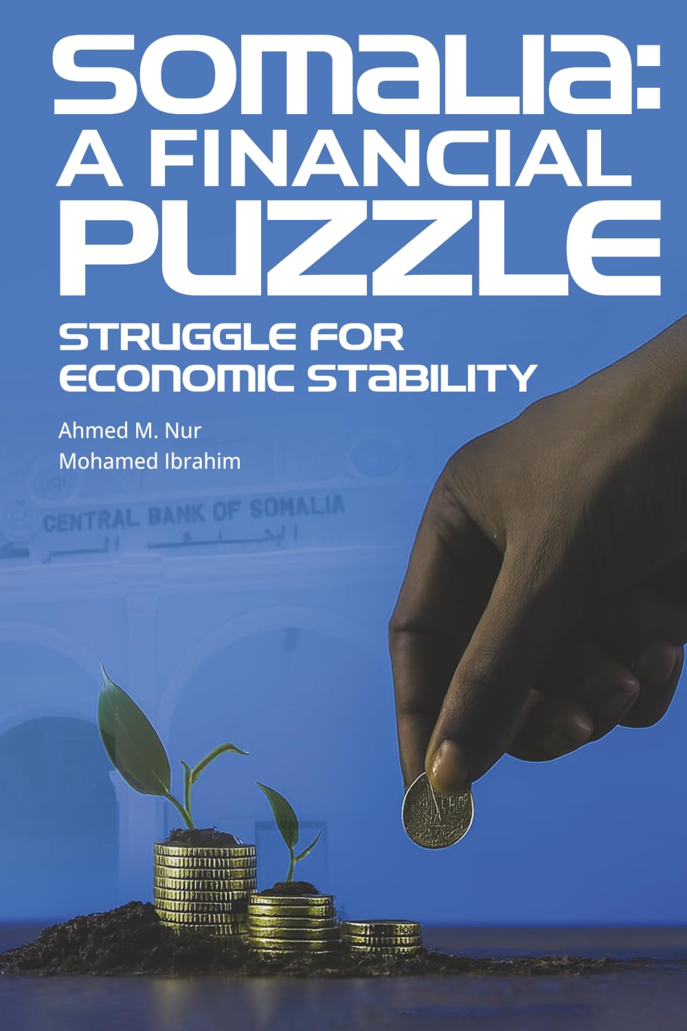 Somalia: A Financial Puzzle: Struggle for economic stability