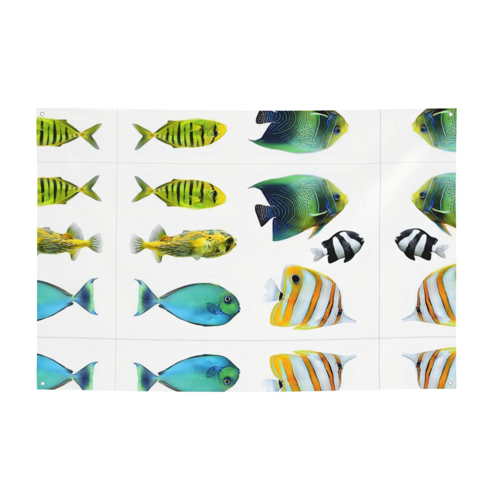 Drapeaux imprimés poissons tropicaux pour habiller un mur vide facilement