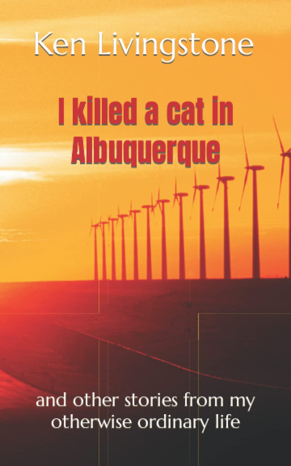 I killed a cat in Albuquerque: and other stories from my otherwise ordinary life