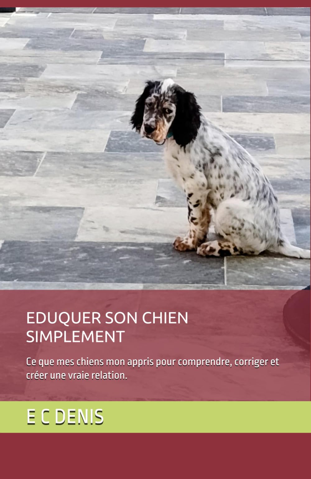 EDUQUER SON CHIEN SIMPLEMENT: Ce que mes chiens m'ont appris pour comprendre, corriger et créer une vraie relation.