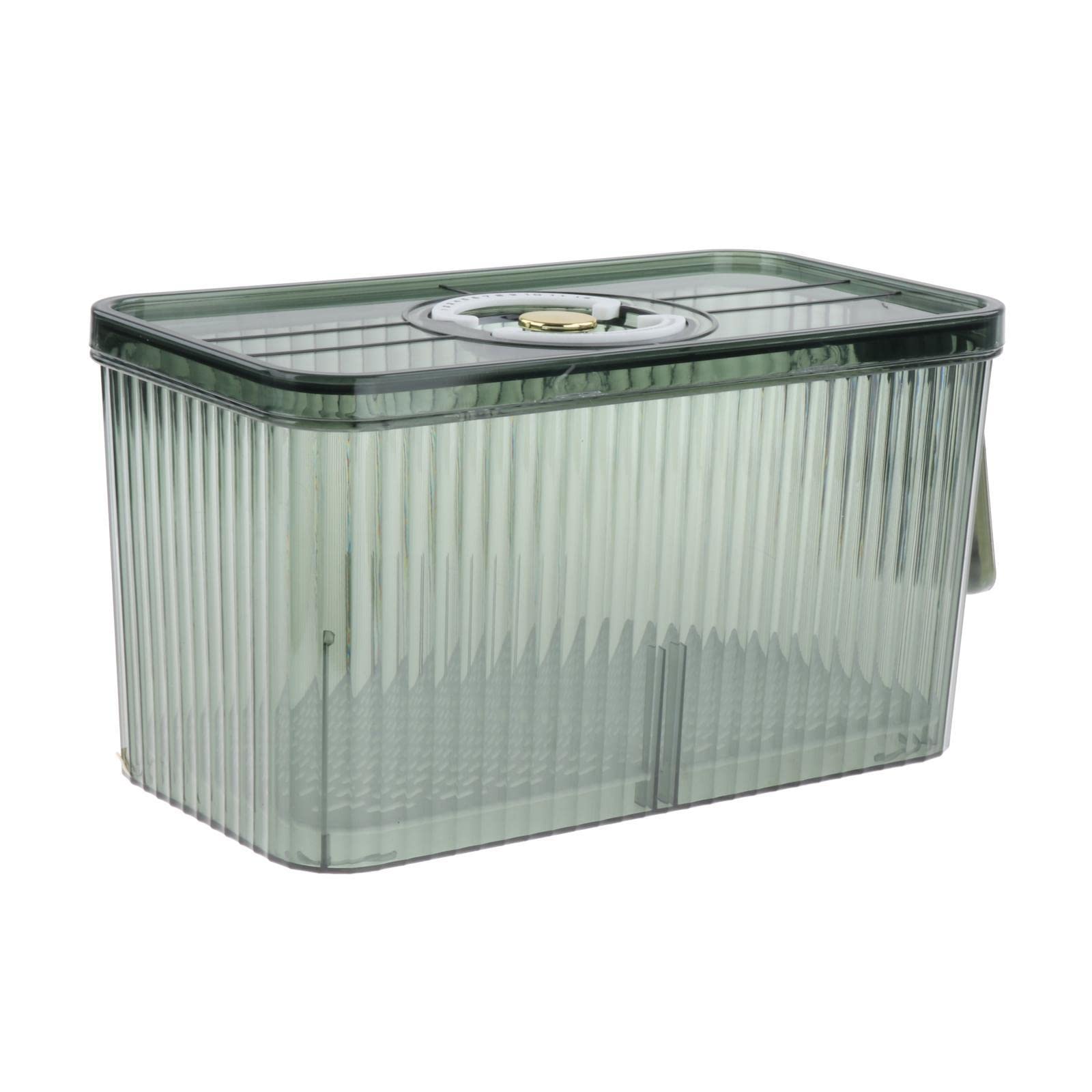 Fridge Organizer Container with Handle with Freshness Timer Lid for Kitchen Large Green-image-41