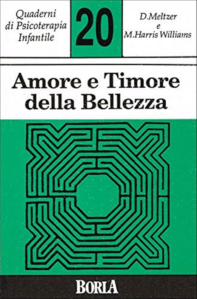 Quaderni Di Psicoterapia Infantile. Amore E Timore Della Bellezza (Vol. 20) - 4
