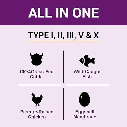 Miniatura 8 de Polvo de proteína de colágeno múltiple sin sabor, 60 porciones, mezcla premium de carne de res alimentada con pasto, pollo, pescado silvestre