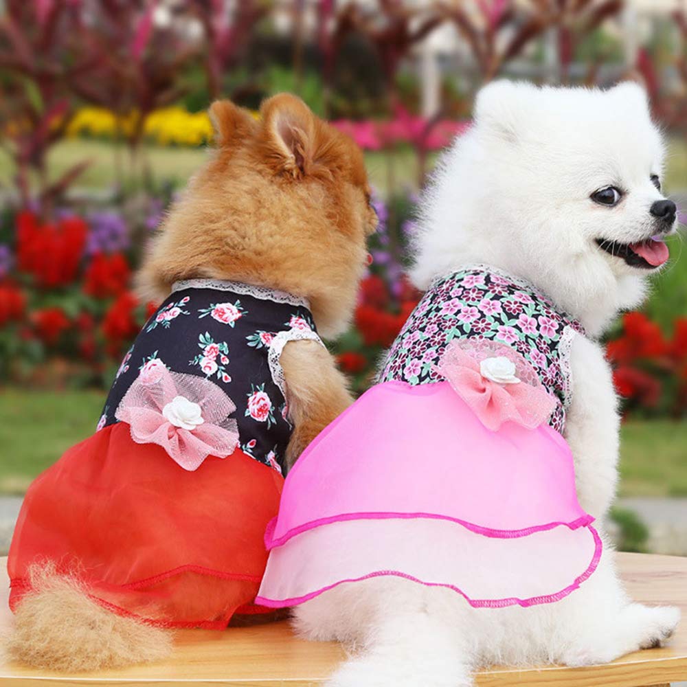 LifeWheel Hundekleid Für Kleine & Mittelgroße Hunde – Weißes Spitzenkleid Mit Schleife (für Hochzeit, Halloween, Weihnachten)
