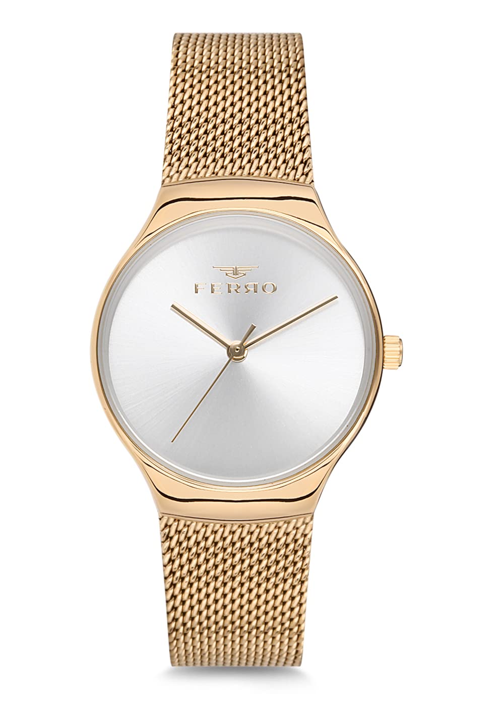 Ferro Lucca Analog Silver Dial Womens Watch-F1990C-922-B (B09RP7BVTP) Amazon Price History, Amazon Price Tracker