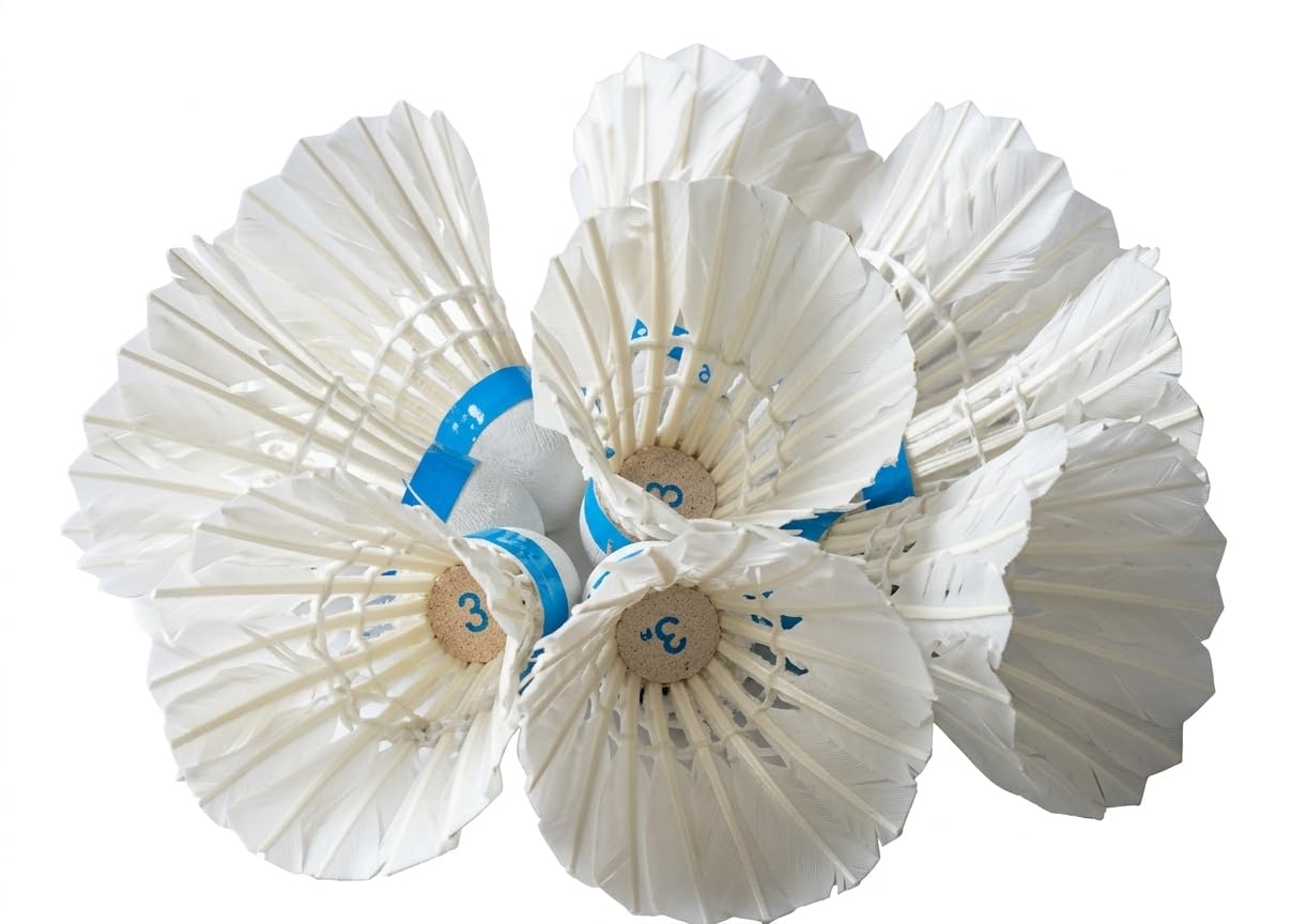 Feather Badminton Shuttlecocks, White, Speed 3, Pack of 6 | Natural Feather, Cork Base, Training & Match Play, Stable Flight, All Skill Levels-image-31