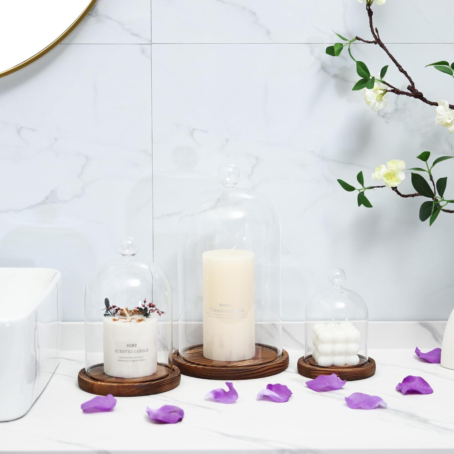 Glass Dome with Base,Glass Cloche Bell Jar,Display Case with Wooden Base for Plants,Collectibles (5.91 * 9.84 inches)