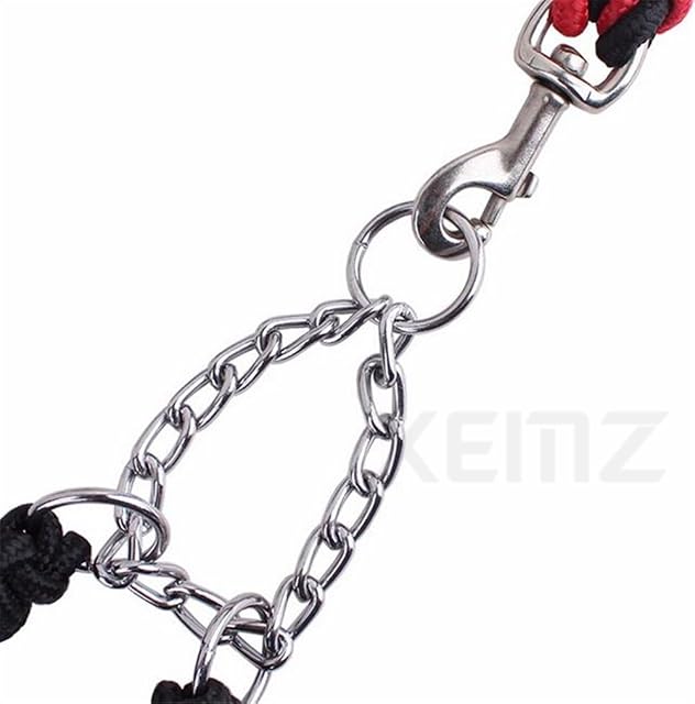 Foto 5 de 8 de Correa de Perro Resistente con Collar, Cuerda de Entrenamiento para Escalada Caminar