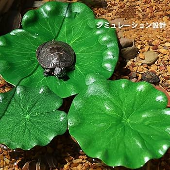 ねずみの男水草 Amazon.co.jp: 水草 水槽 オブジェ アクアリウム用水草と岩