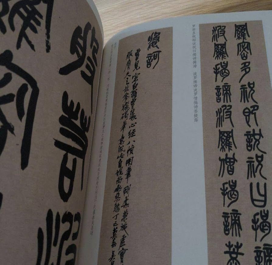 習字(臨書)教本＋DVDセット(1年分)お値下げしました 日本習字 臨書部模範揮毫DVD 平成27年4月号〜平成28年3月号