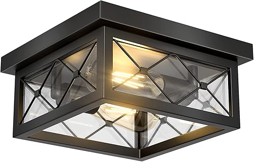 Asnxcju Lámpara de techo de granja 2 luces negras de montaje empotrado con pantalla de vidrio transparente jaula de metal retro cerca de la lámpara