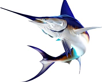 Sword Fish Beautiful Fish Decal | Fishing Decal for Boat, Car, Vehicle, Truck Etc. | Waterproof Vinyl Sticker | Many Sizes & Styles Available | 12" to 40" By Digital Fish Art Medium, Position 1R