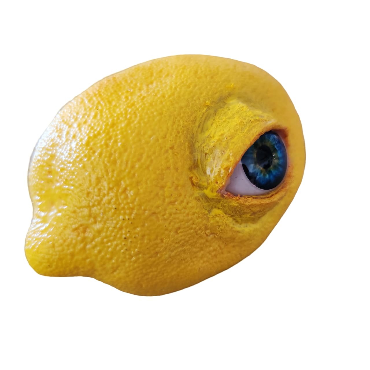 Dead Head Props Realistic Life Sized Freaky Fruit All Seeing Lemon, Halloween Prop, Horror Prop, Halloween Decoration