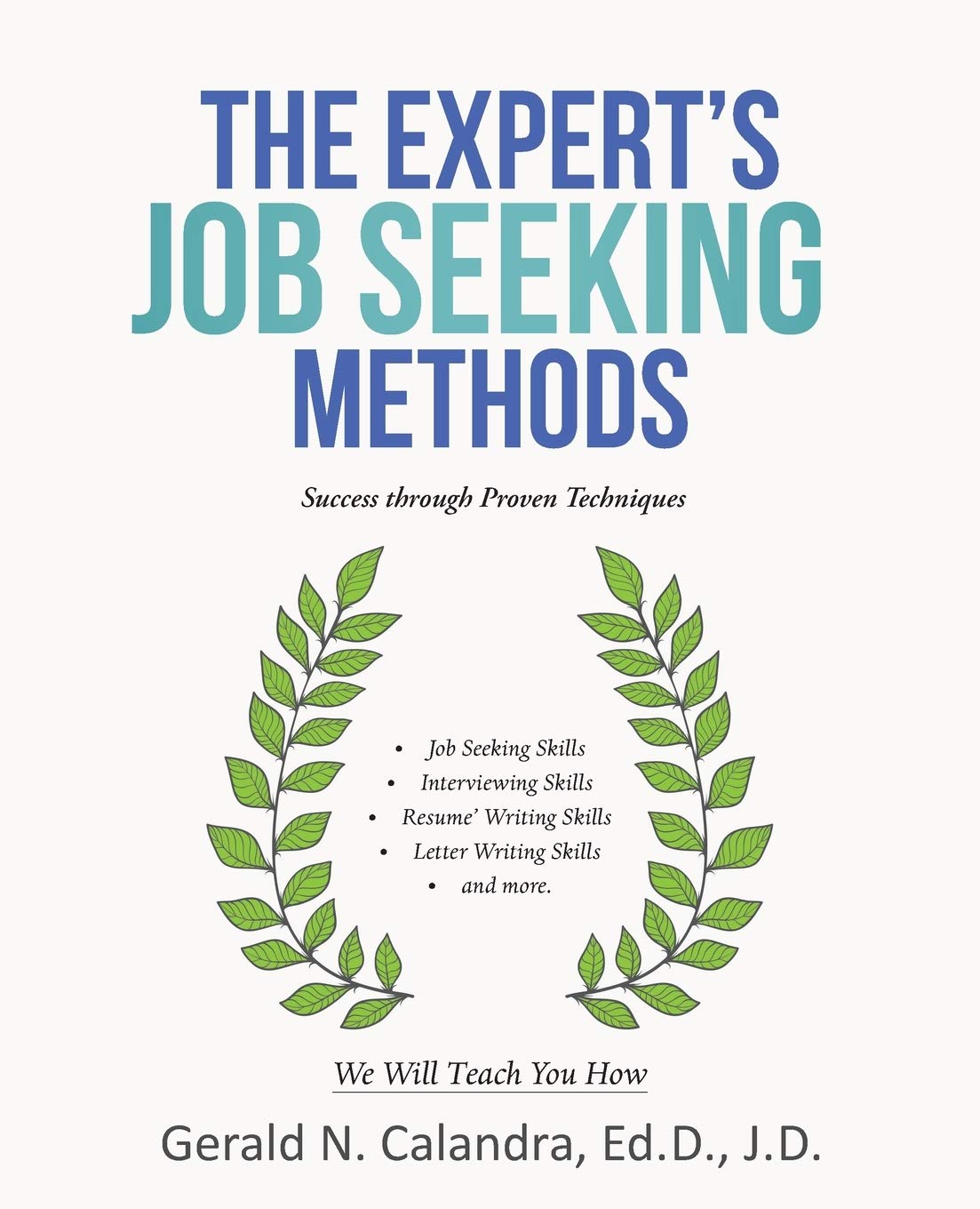The Expert's Job Seeking Methods: Success through Proven Techniques