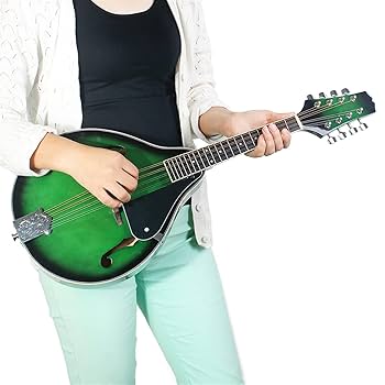 toky様用　【美品】エレキ　マンドリン カラーチェマンドリン Brevettato 杉 | イケガク