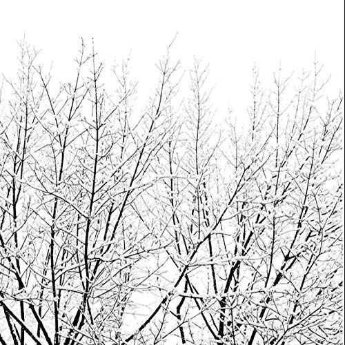 Amazon.co.jp: Coco Lapine Design ポスター snowytree ココラパン 冬