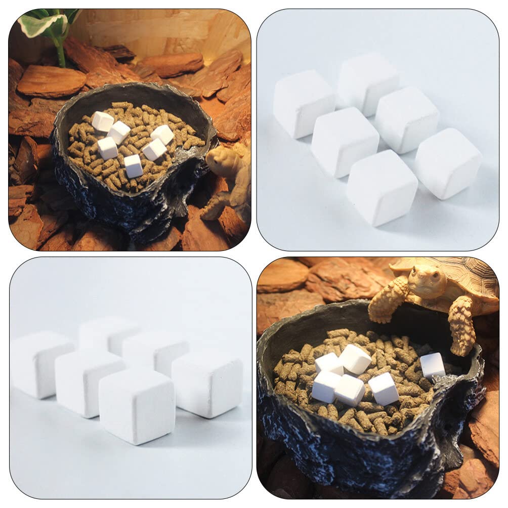 50 Pcs Calcio De Tortuga Acuática Suministros De Tortuga Calcio Mineral Reptil Calcio para Reptiles Polvo De Calcio De Tortuga Pulverizador Bloque Mineral Tanque De Tortuga