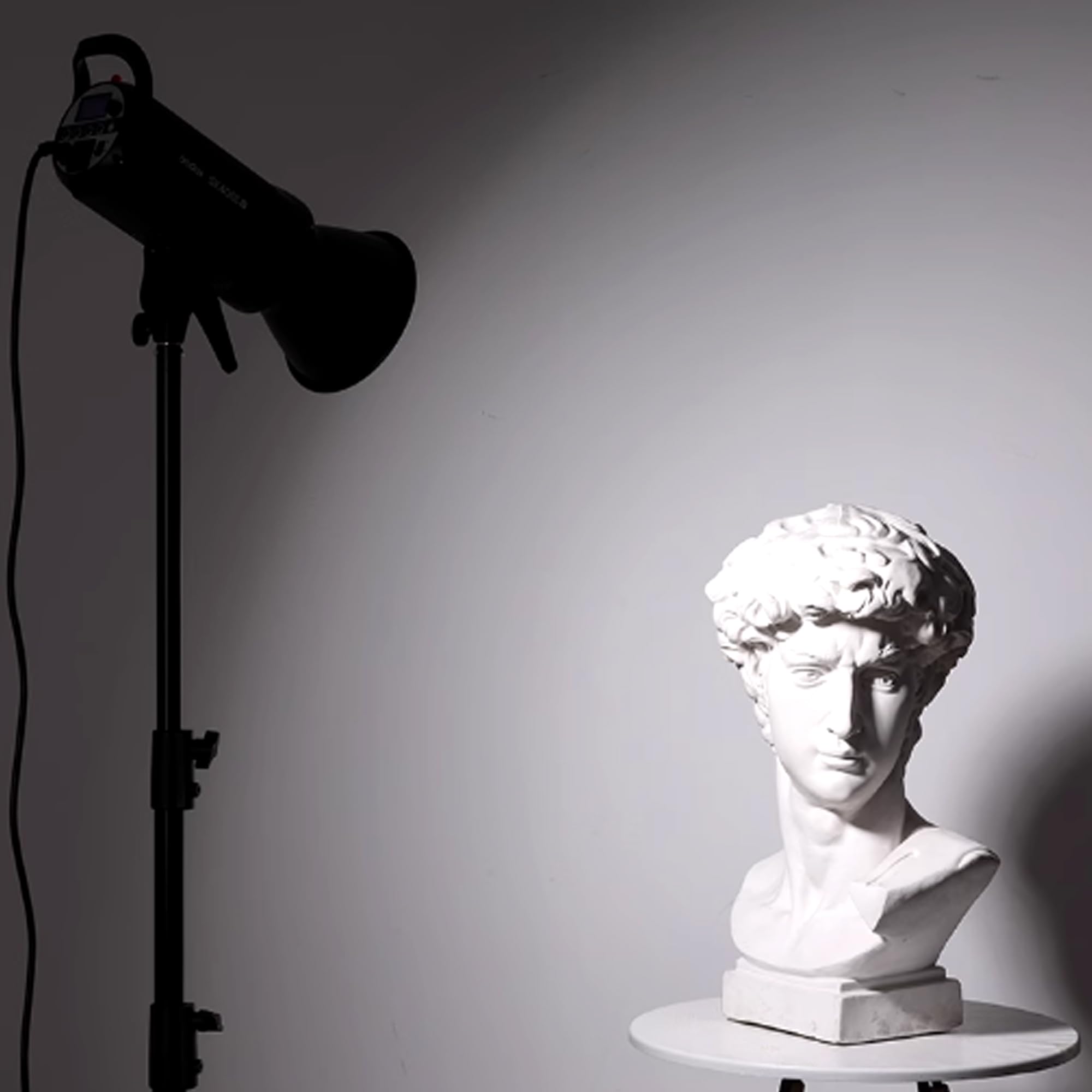 Godox Diffusore riflettore standard Bowens da 21 cm per Godox AD600B AD600Pro AD600BM MS200V MS300V SK400IIV SK300IIV Strobe Flash Monolight SL60II SL100II SL150W