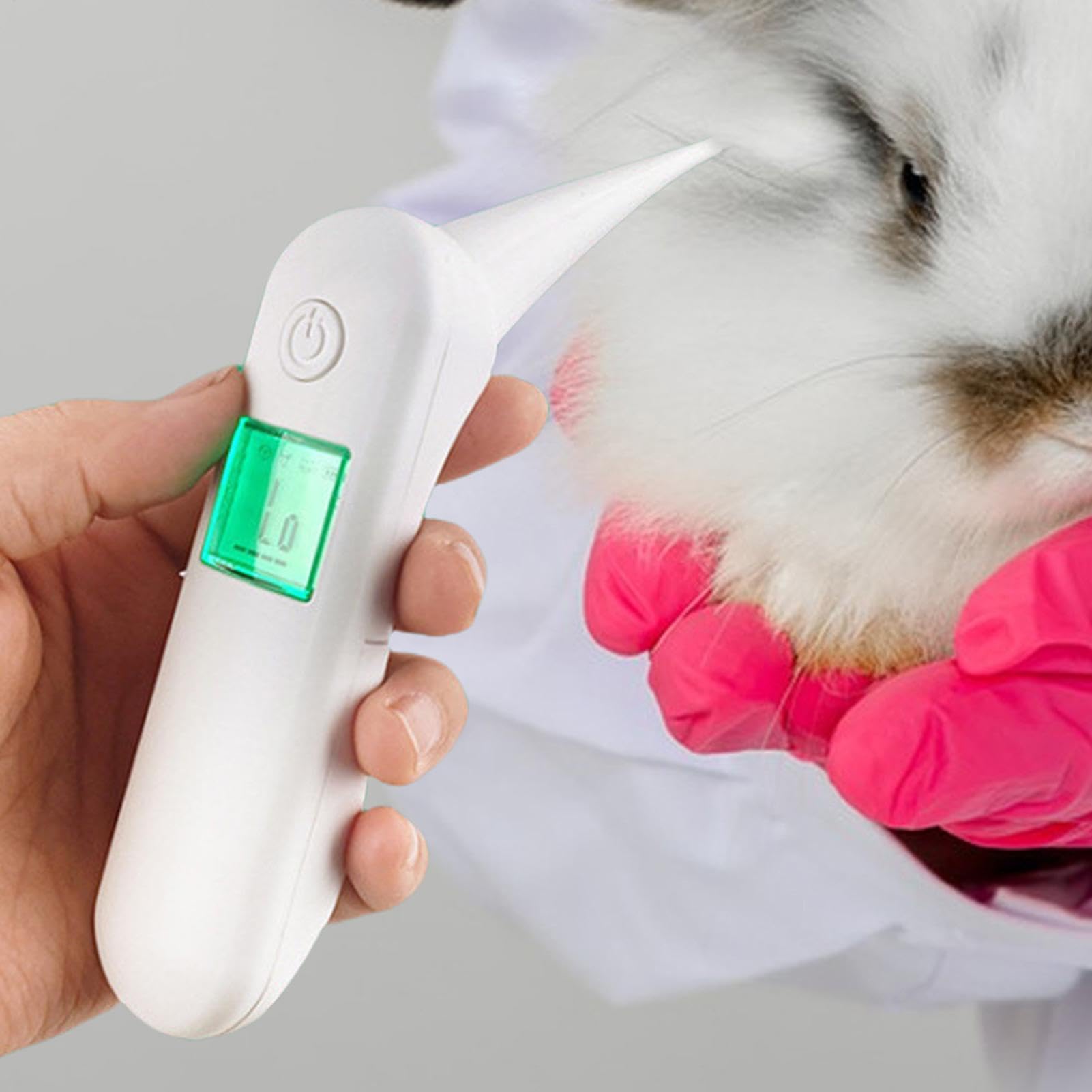 Temperaturmessgerät für Hunde, Temperaturmessgerät für Katzen, digitales Temperaturmessgerät für, Tiertemperaturmessgerät, wasserdichtes Zubehör für Haustiere