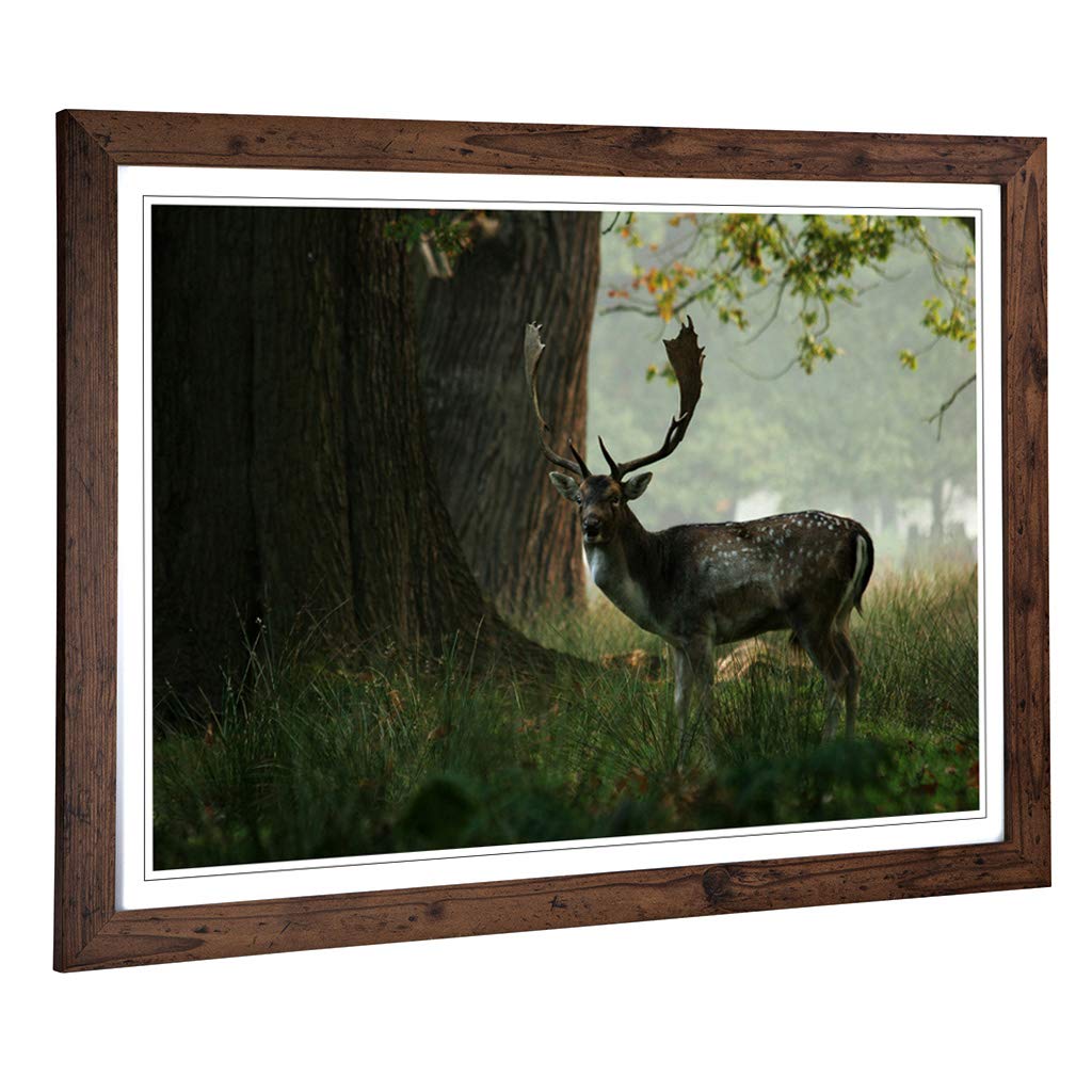 Big Box Art Framed Print of Stag in Woodland Landscape Design | Wall Art Picture | Home Decor for Kitchen, Living, Dining Room, Bedroom, Hallway, Office, Walnut, A2 / 24.5x18 Inch / 62x45cm