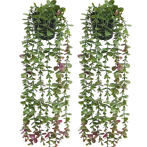 Floweroyal 2 Stücke Künstliche Hängepflanzen Gefälschte Eukalyptus-Grünpflanzen im Topf Kleine Kunstpflanzen für Regal-Wanddekoration im Innen- und Außenbereich