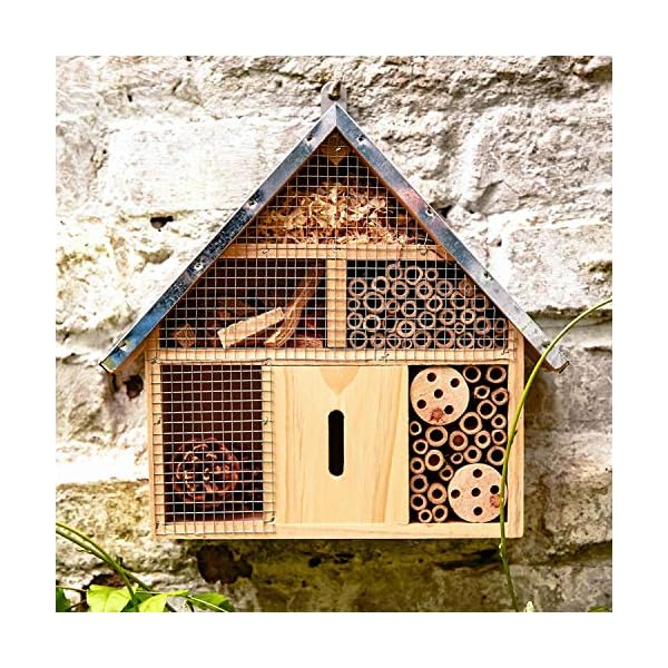 bambuswald© Insektenhotel ca. 29 x 24 x 8 cm | Bienenhotel Unterschlupf für Insekten - Insektenhaus Naturmaterialien… – Bild 6