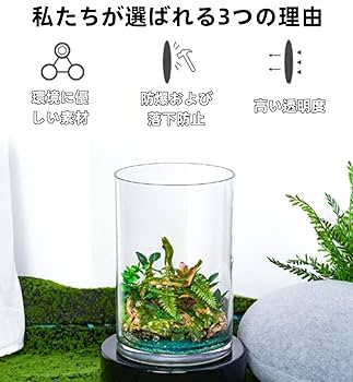 円柱型ガラス水槽 高透明度 Amazon.co.jp: 透明な円柱水槽、卓上またはデスクトップ