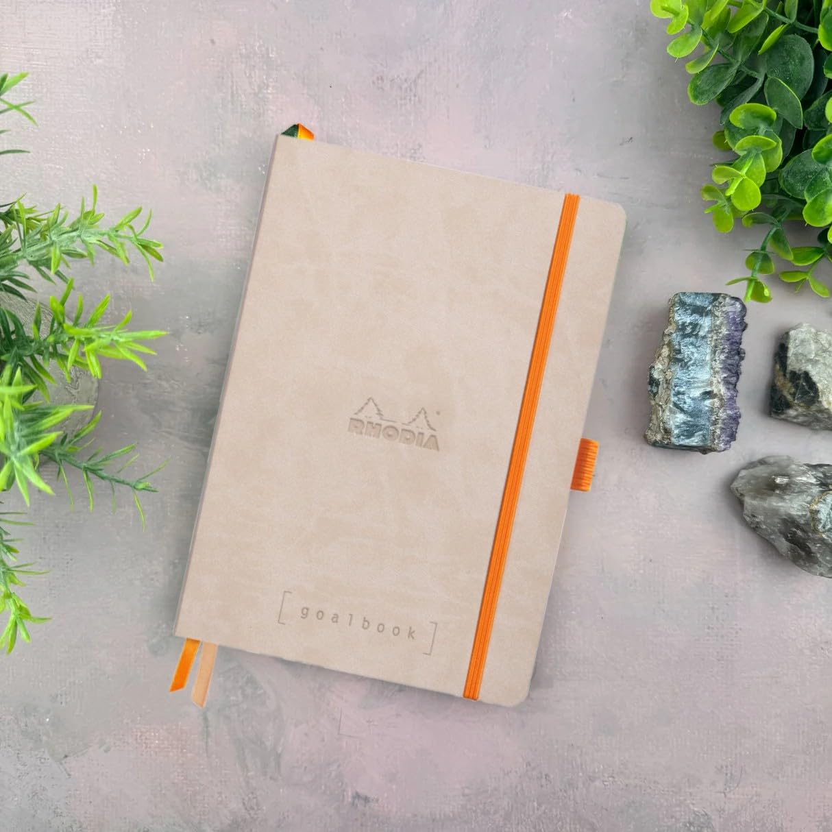 Amazon.com : Rhodia Goalbook Journal, A5, Dotted - Beige : Office