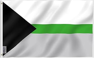 Anley Fly Breeze 3x5 Foot Demiromantic Pride Flag - Vivid Color and Fade Proof - Canvas Header and Double Stitched -Demiromantic LGBT Flags Polyester with Brass Grommets 3 X 5 Ft