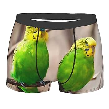 せきせいくうページ 61hXHQ8iKxL._SY350_QL65_.jpg